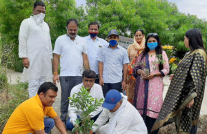 रोटरी क्लब पलवल सिटी ने लगाए हर्बल व छायादार पौधे
