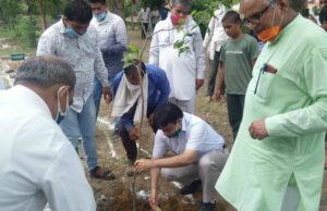 बागवानी : कहाँ दिए जा रहे पाँच हजार एकड़ के लिए मुफ़्त पौधे