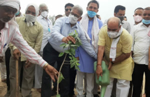 दशहरा ग्राउंड में किया पौधा रोपण, 2500 पौधे लगाएगा वन विभाग – कैबीनेट मंत्री मूलचन्द शर्मा