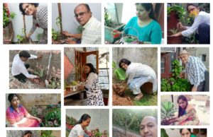 मानव सेवा समिति ने पौधारोपण कर मनाया तीजोत्सव