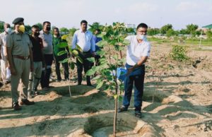 पलवल एसपी ने पुलिस लाइन में पौधे रोपकर क्या बोला ?