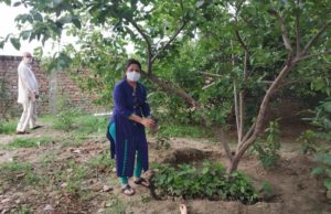 कदंब का पौधा लगाकर अभिभूत हुई क्लीन एंड स्मार्ट पलवल की चेयरपर्सन|