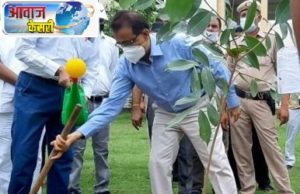 पलवल को बनाया जाएगा गुलमोहर सिटी : जिला उपायुक्त