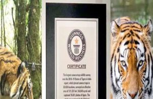 चार सालों में बाघों की संख्या हुई दोगुनी – प्रकाश जावड़ेकर