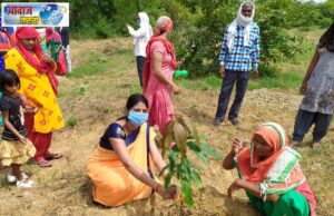 पलवल में महिलाओं ने पौधो को राखी बांधकर बनाया भाई,पढ़िये पूरी रिपोर्ट