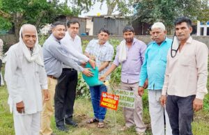 दी मिंडकौला प्राथमिक कृषि सहकारी समिति लिमिटेड के प्रागंण में पौधारोपण