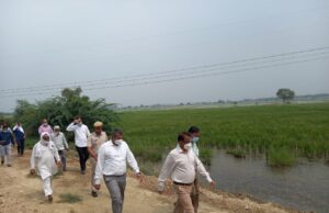 जिला उपायुक्त ने बघौला,कारना व लालवा गांव में फसलों का मुआयना कर गिरदावरी करने के निर्देश दिए