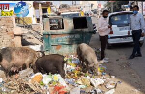 स्वच्छ भारत मिशन टीम की ने किया औचक निरिक्षण,जानिए जिले में सफाई पर क्या कहा आवाज केसरी