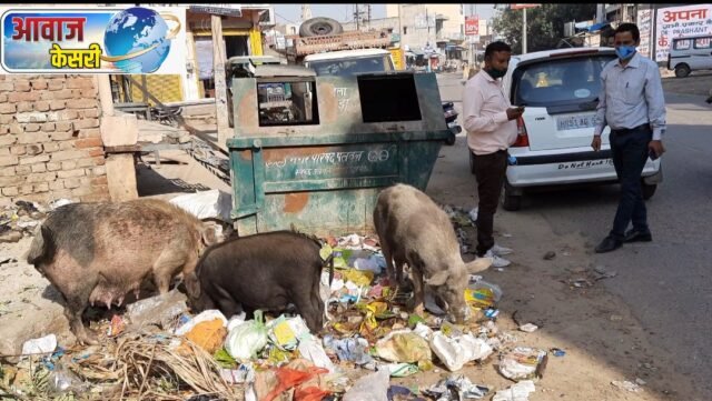 आवाज केसरी आवाज केसरी