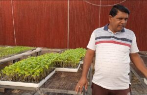 कृषि में इजरायली तकनीक अपनाकर किसान हो रहे मालामाल