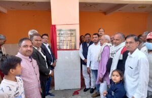 लाखों रुपए की लागत के विकास कार्यों के किए उद्घाटन व शिलान्यास