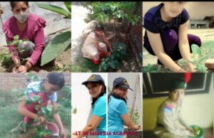 एनसीसी की छात्राओं ने लगाए फलदार पौधे