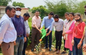 ABVP planted saplings on the foundation day