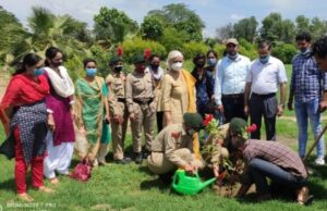Plant more and more trees for environmental protection : Vijeta Narwal