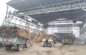 पलवल शुगरमिल ने पकड़ी रफ्तार,पढिये पूरी रिपोर्ट