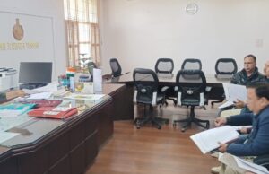 अवैध खनन पर लगाई जाए पूरी तरह से रोक : उपायुक्त नेहा सिंह