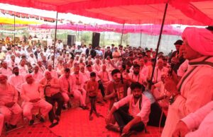 भाजपा के भ्रष्टाचार को वोट की ताकत से भगाएं: महेन्द्र प्रताप सिंह