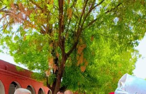 कारगिल यात्रा का बहीन गाँव में हुआ भव्य स्वागत ।